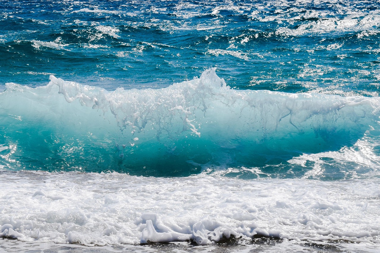 European Union ratifies High Seas Treaty, marking major step in international environmental law