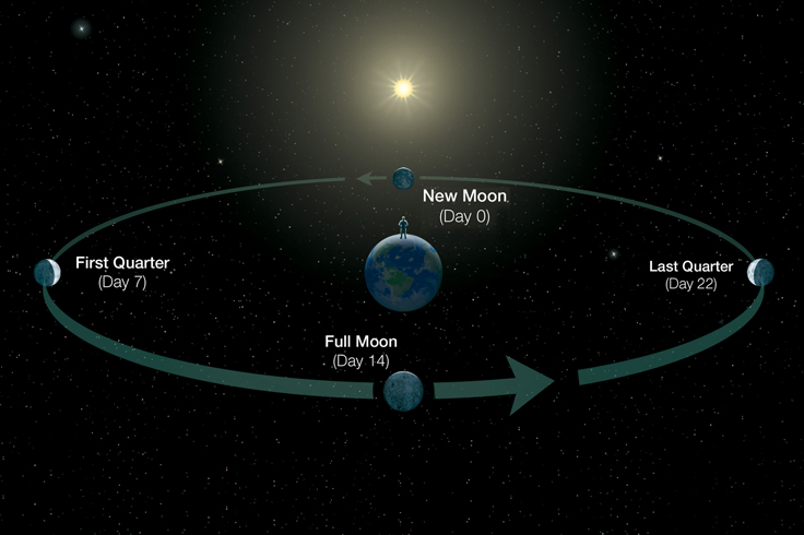 June Podcast: A Month of Moonwatching