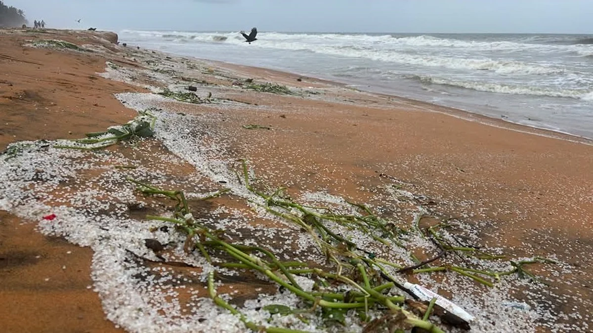 MSC ELSA 3 sinking: Tiny plastic pellets found along Thiruvananthapuram coast, raising concerns about marine pollution