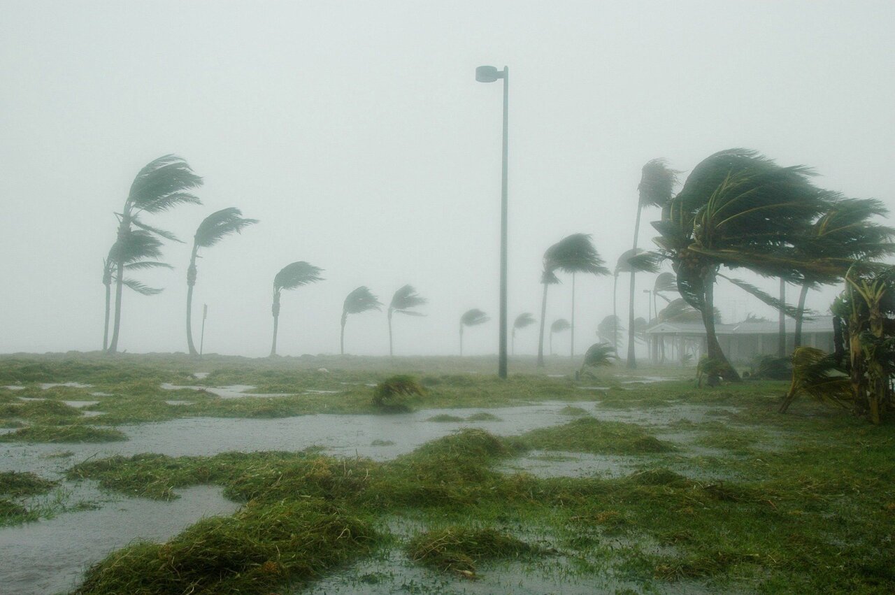 Cyclones drive people to buy health insurance, more so than some government campaigns, research shows
