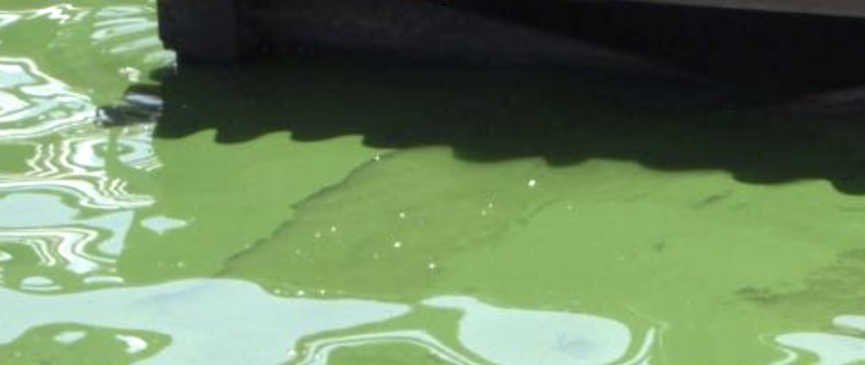 State environmental officials urge caution around discolored water