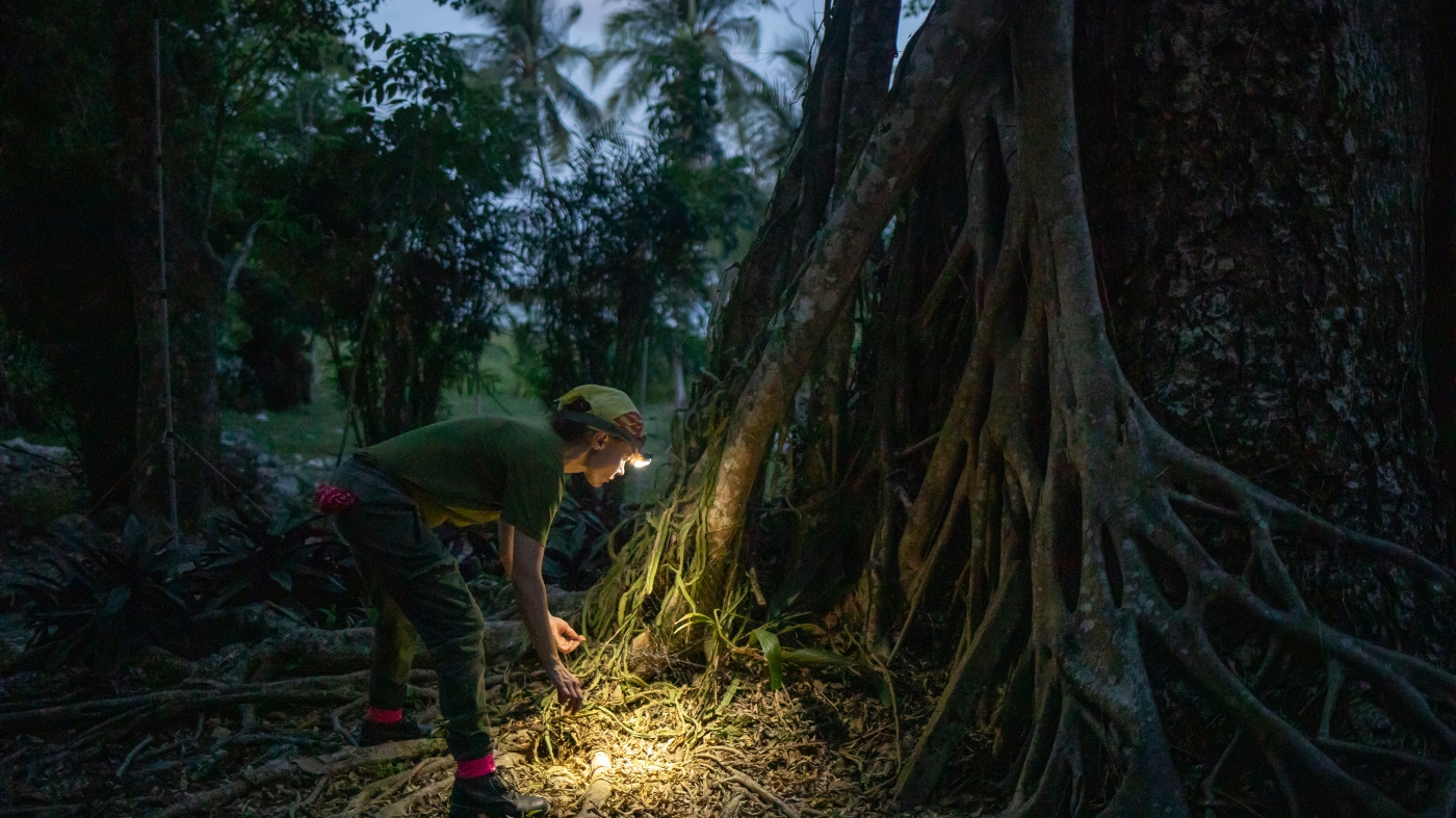 Scientists want to track the world's biodiversity using DNA in the air