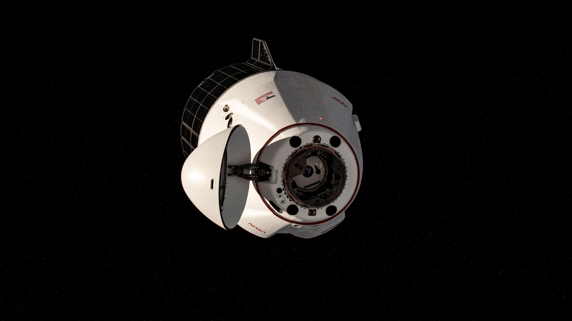 NASA+ Coverage is Live as SpaceX Dragon Prepares to Undock