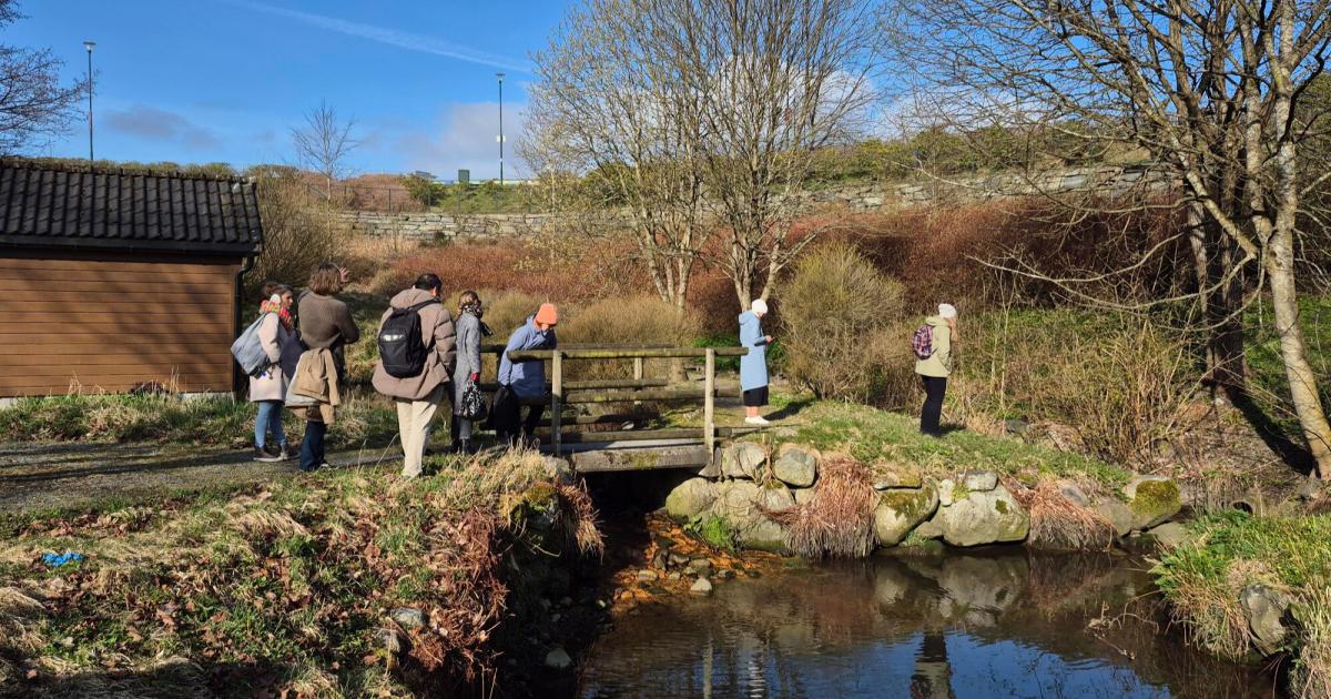 Nature-based solutions increase nature and human wellbeing