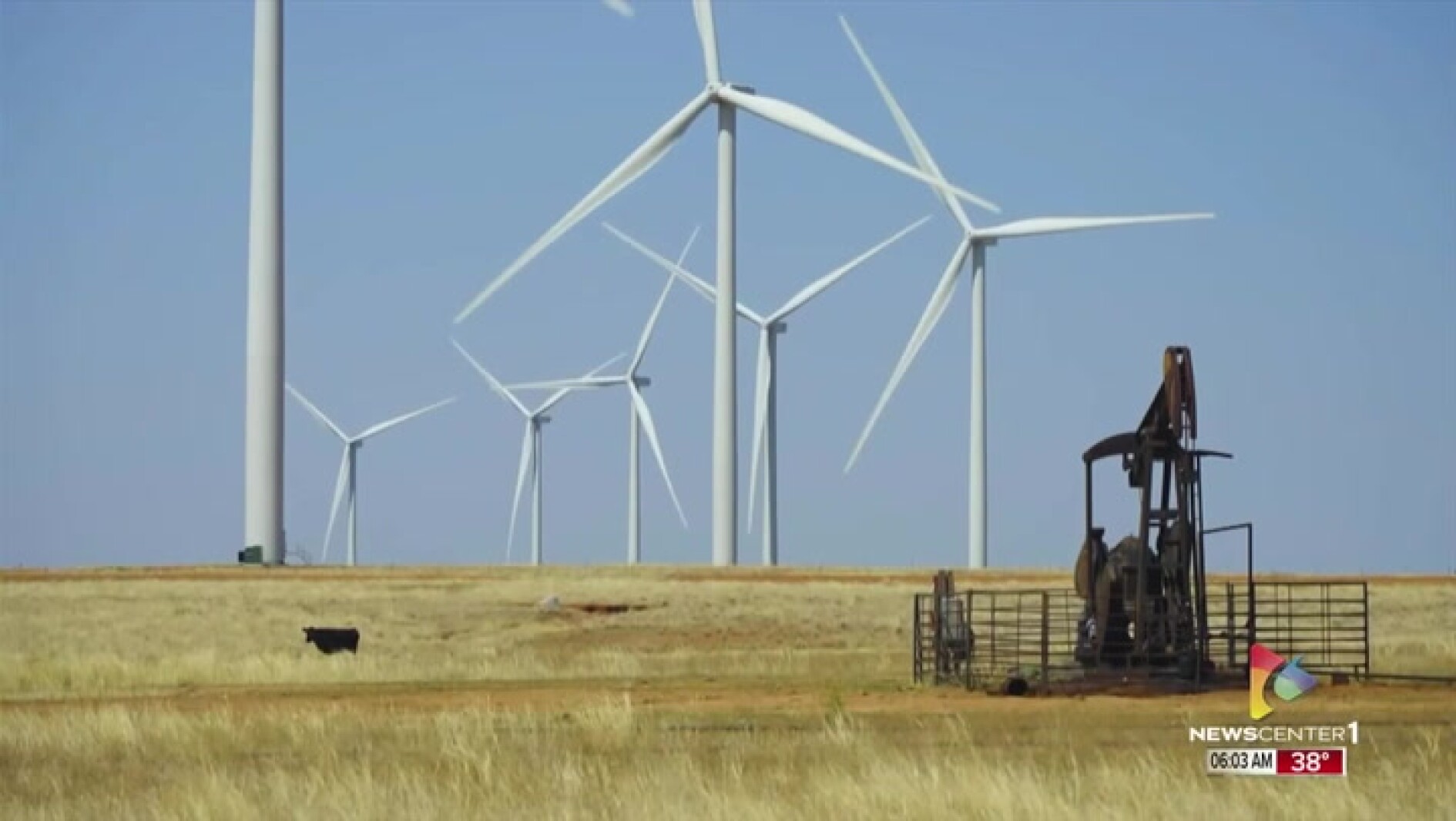 Black Hills Environmental Coalition seeks to bring together environmental groups