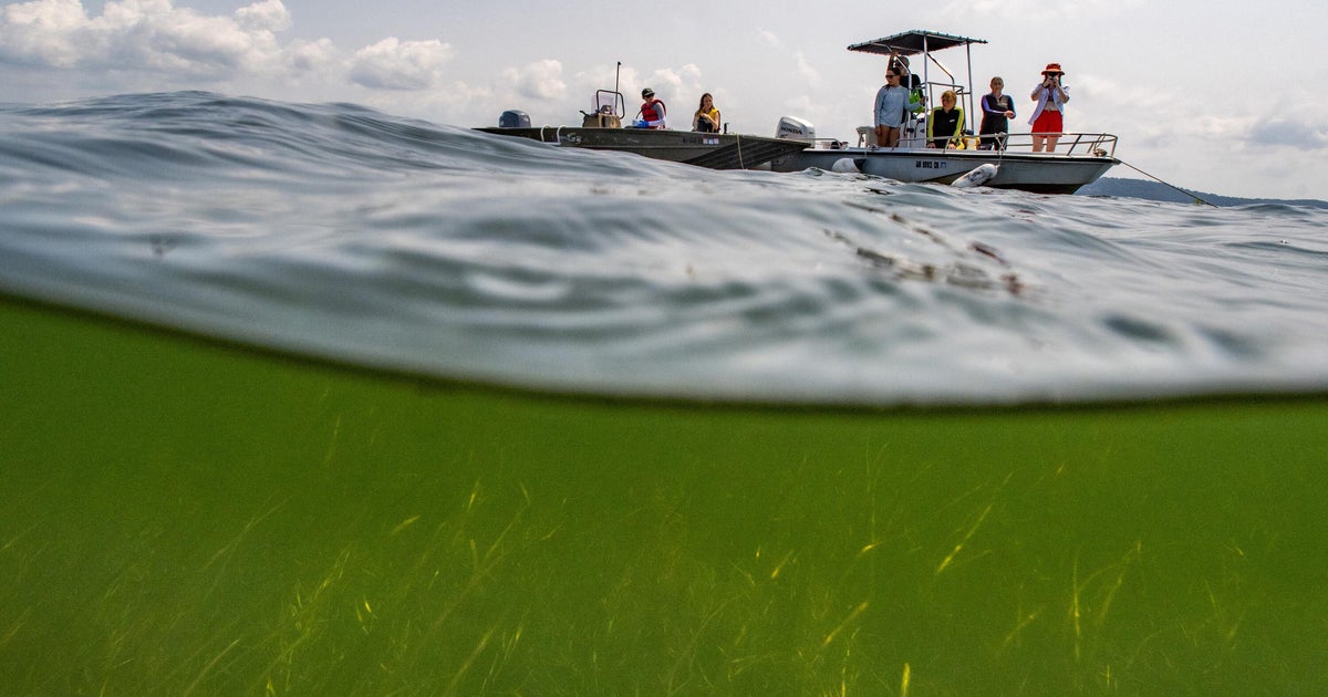 Progress in teaching environmental literacy improves around Chesapeake Bay area after COVID-19 learning loss