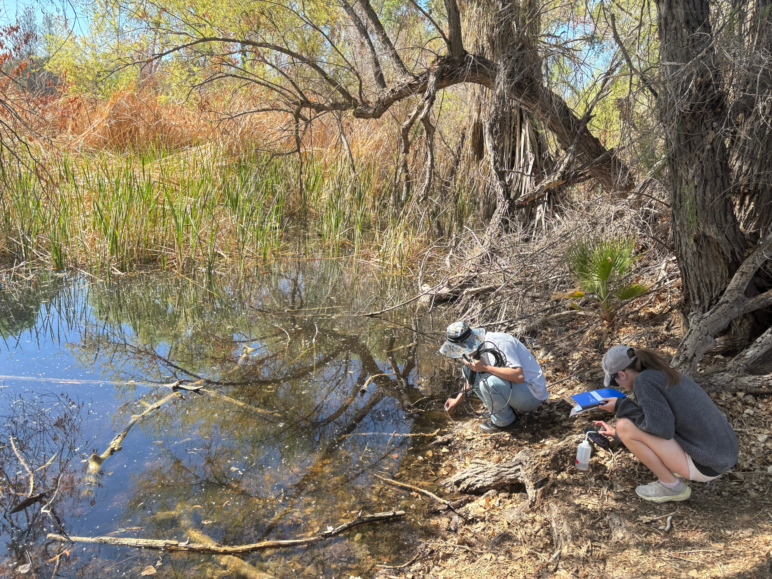 Students in ASU lab works to improve river preserve’s health