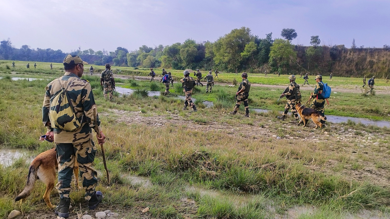50 terrorists tried to enter India under cover of Pakistani shelling on May 8: BSF