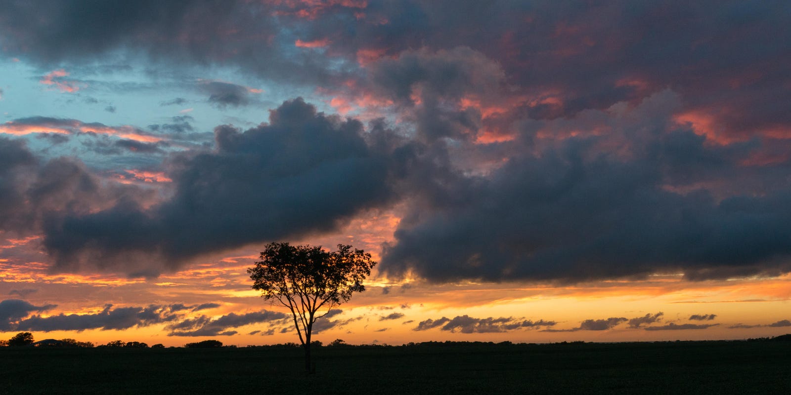 DOGE cuts EPA grant to KDHE: $1M for fighting food insecurity in southeast Kansas