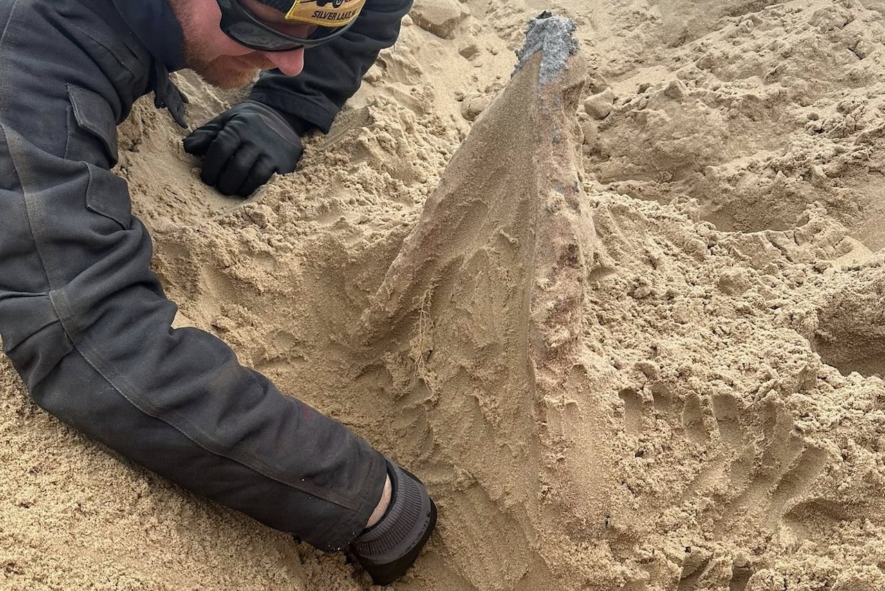 Dune buggy business unearths fossilized lightning measuring over 2 feet from Lake Michigan dunes