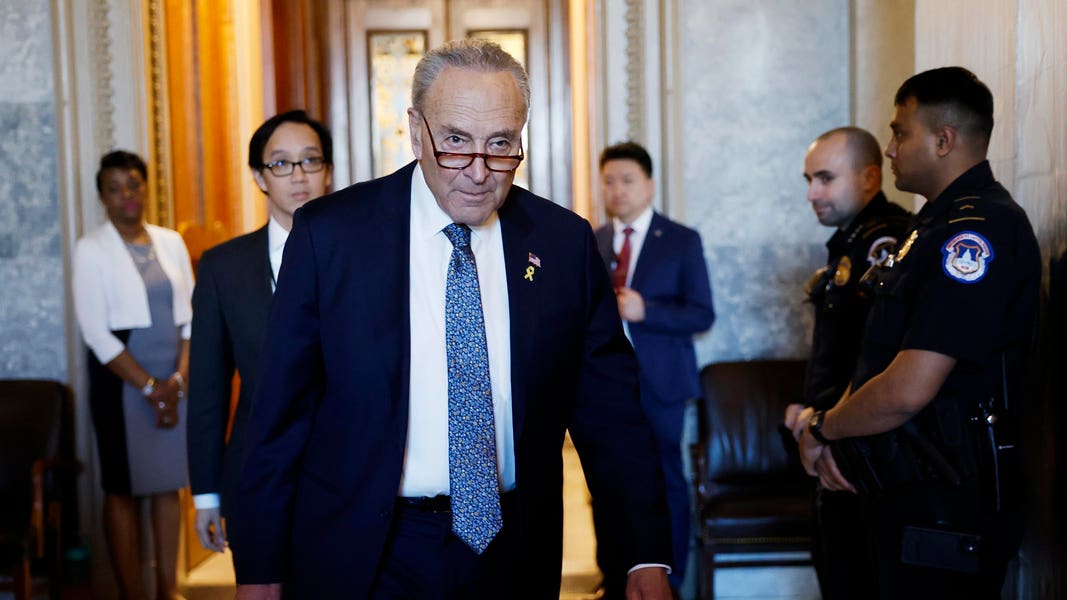 Schumer Introducing Bill Banning Foreign Planes As Air Force One After Qatar Reportedly Offers Jet To Trump