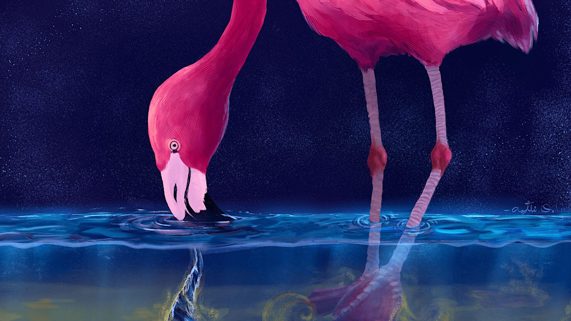 Flamingos conjure 'water tornadoes' to trap their prey