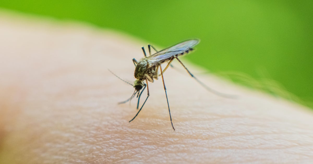 Allegheny County Health Department treating stormwater catch basins for mosquitoes