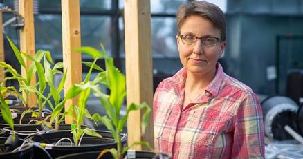 Small business owners invited to meet with LANL scientists at Tuesday event