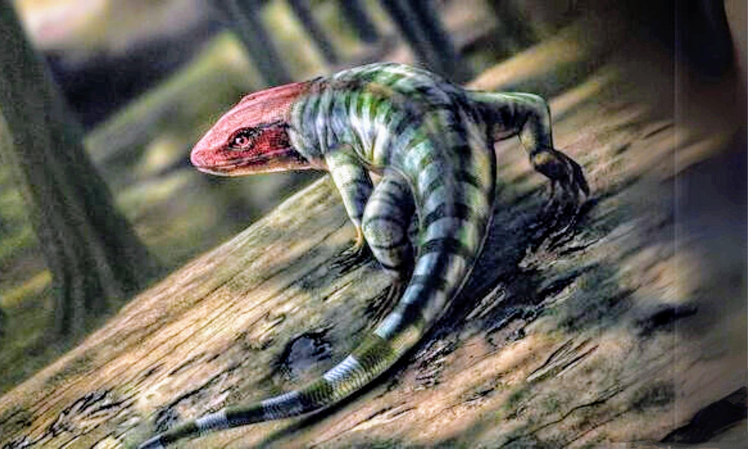 Fossil discovery pushes back reptile evolution by 40 million years