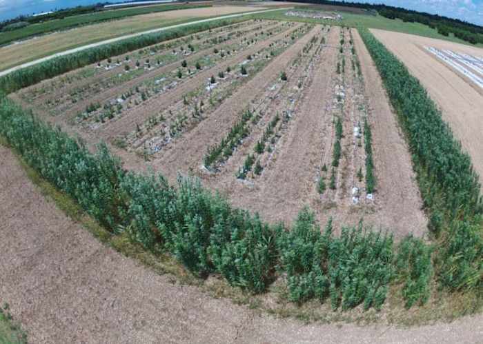 Drones and AI help farmers save money while protecting the environment