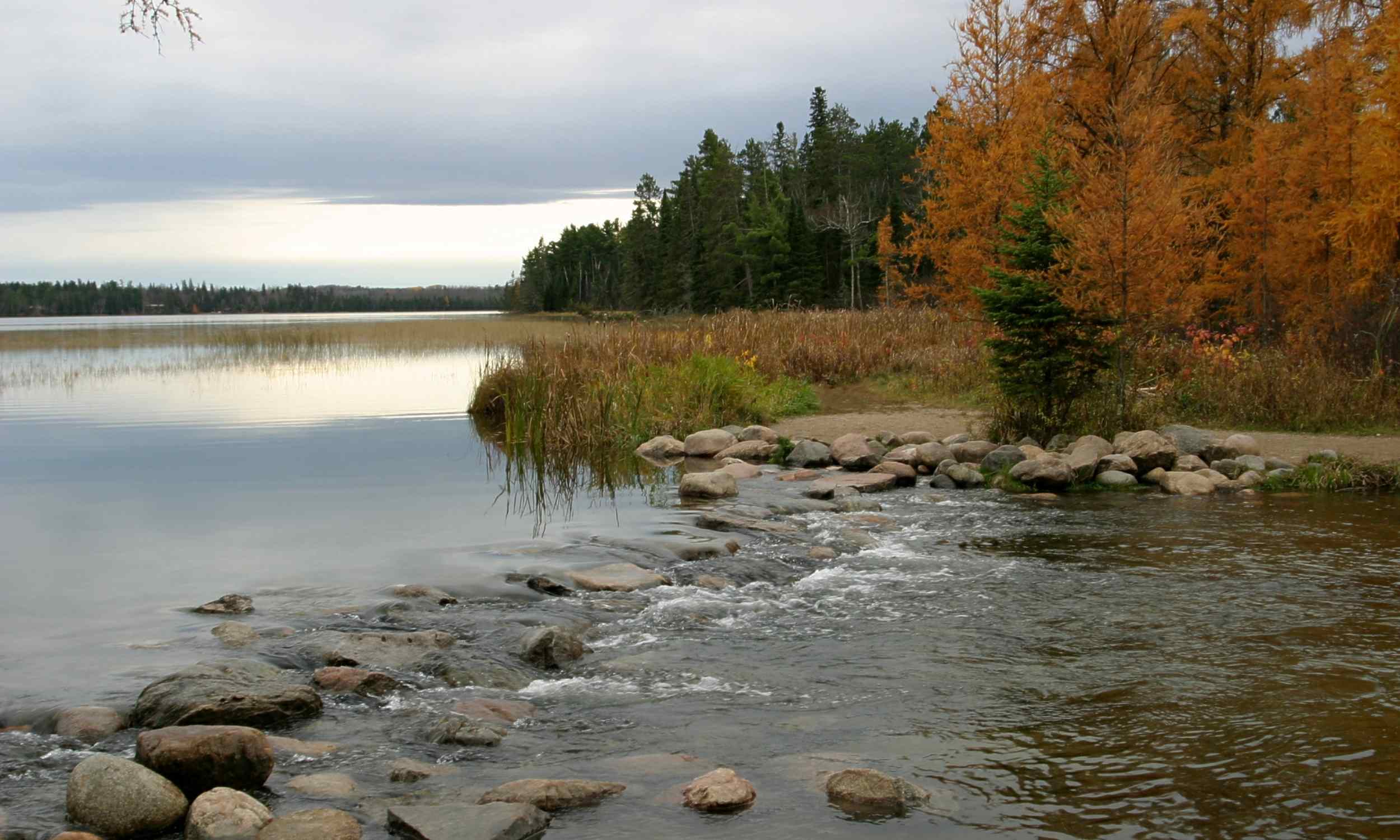 Giant predator ruled Earth when Mississippi was under an ocean
