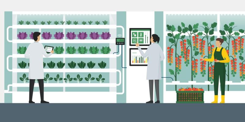 Future of Controlled Environment Agriculture (CEA) Market Growth Insights 2025-2032