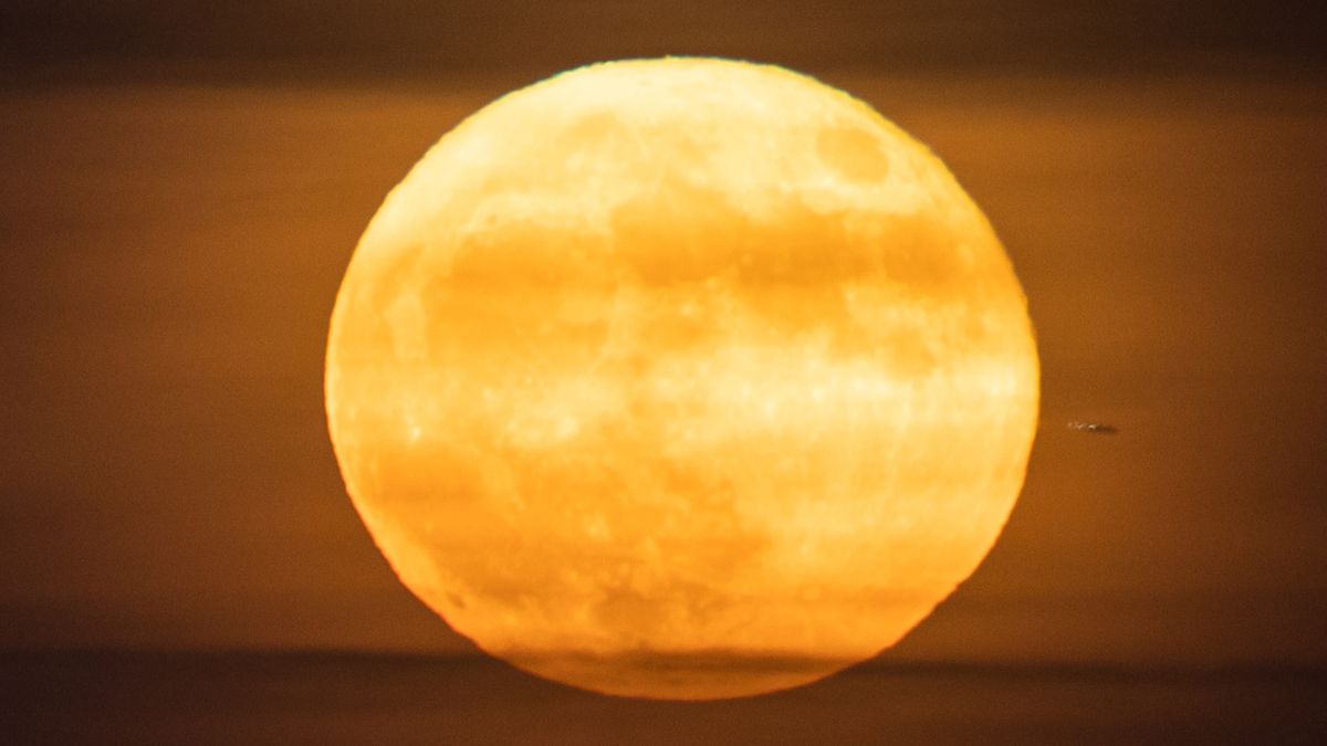 June's full 'Strawberry Moon' illuminates the night sky next week: Here's how to see it