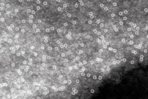 ‘Landmark paper’ reveals how environment affects individual ...