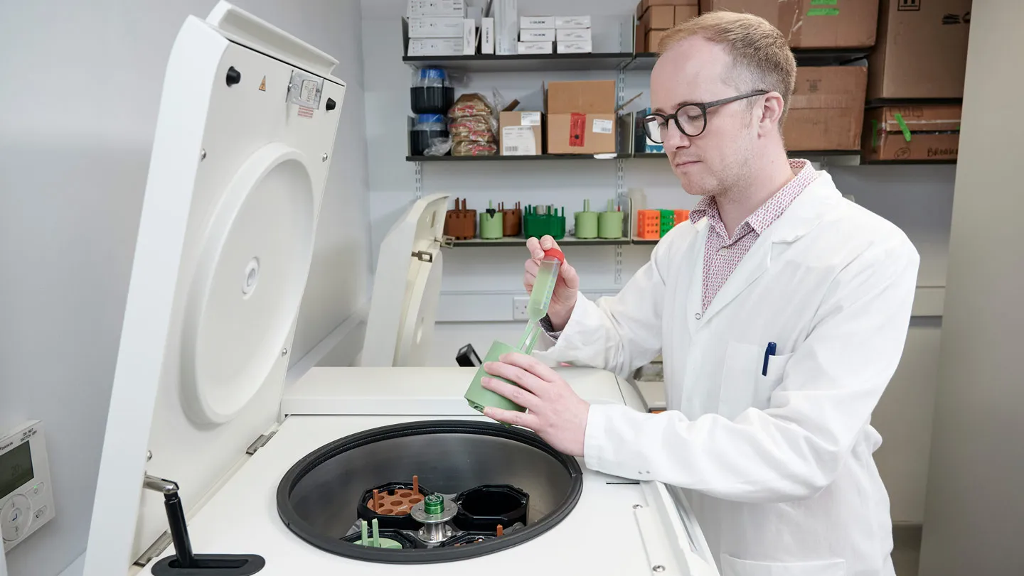 Modified bacteria convert plastic waste into pain reliever