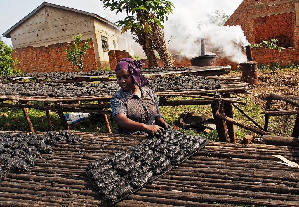 Biochar: Can plant waste boost farms and save the environment?