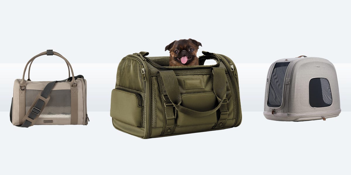 These 10 Dog Travel Bags Make for Stylish Carry-On Luggage