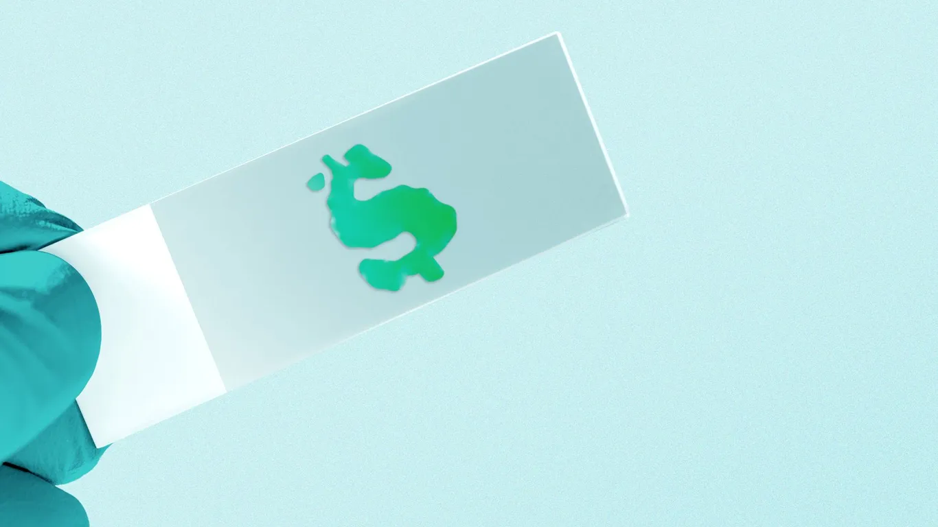 Exclusive: Eli Health raises $12M for hormone tracking
