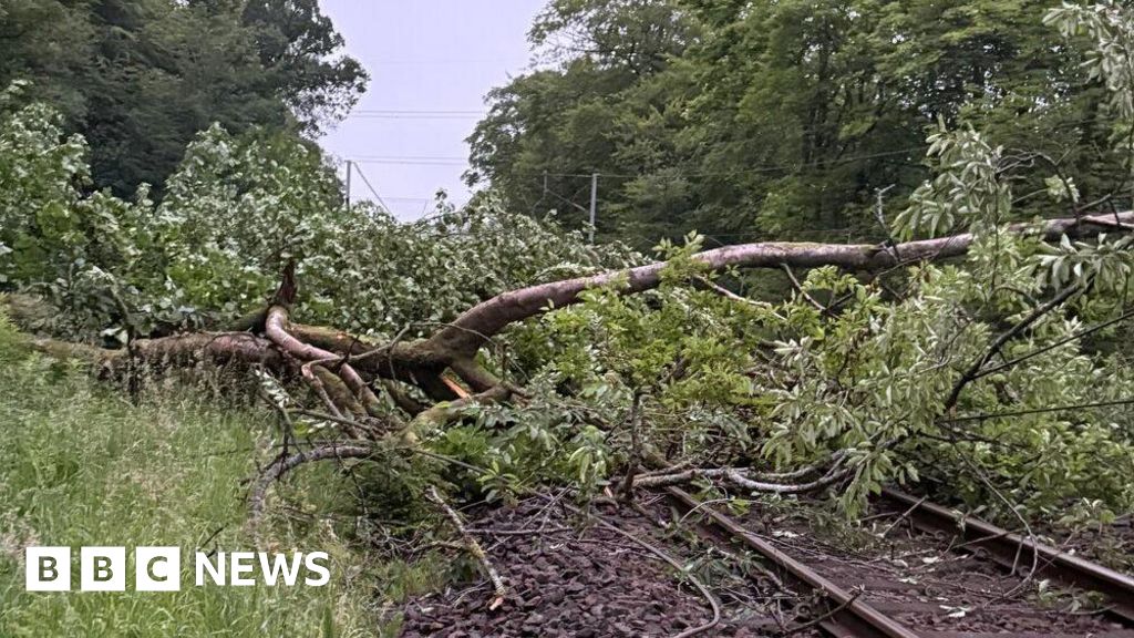 Do not travel warning after tree blocks West Coast Main Line