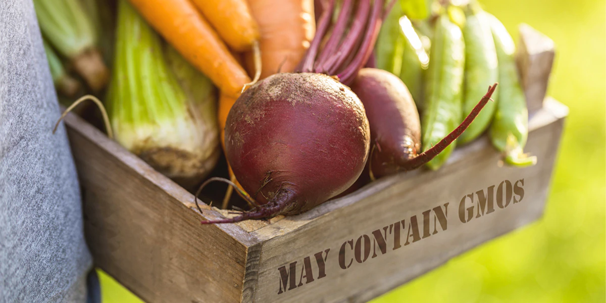 Judicial Review: Stop hidden GMOs entering our food and environment