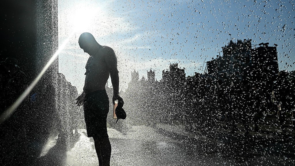 Heat Wave in Europe: Impact on Power Grid, Health, Crops