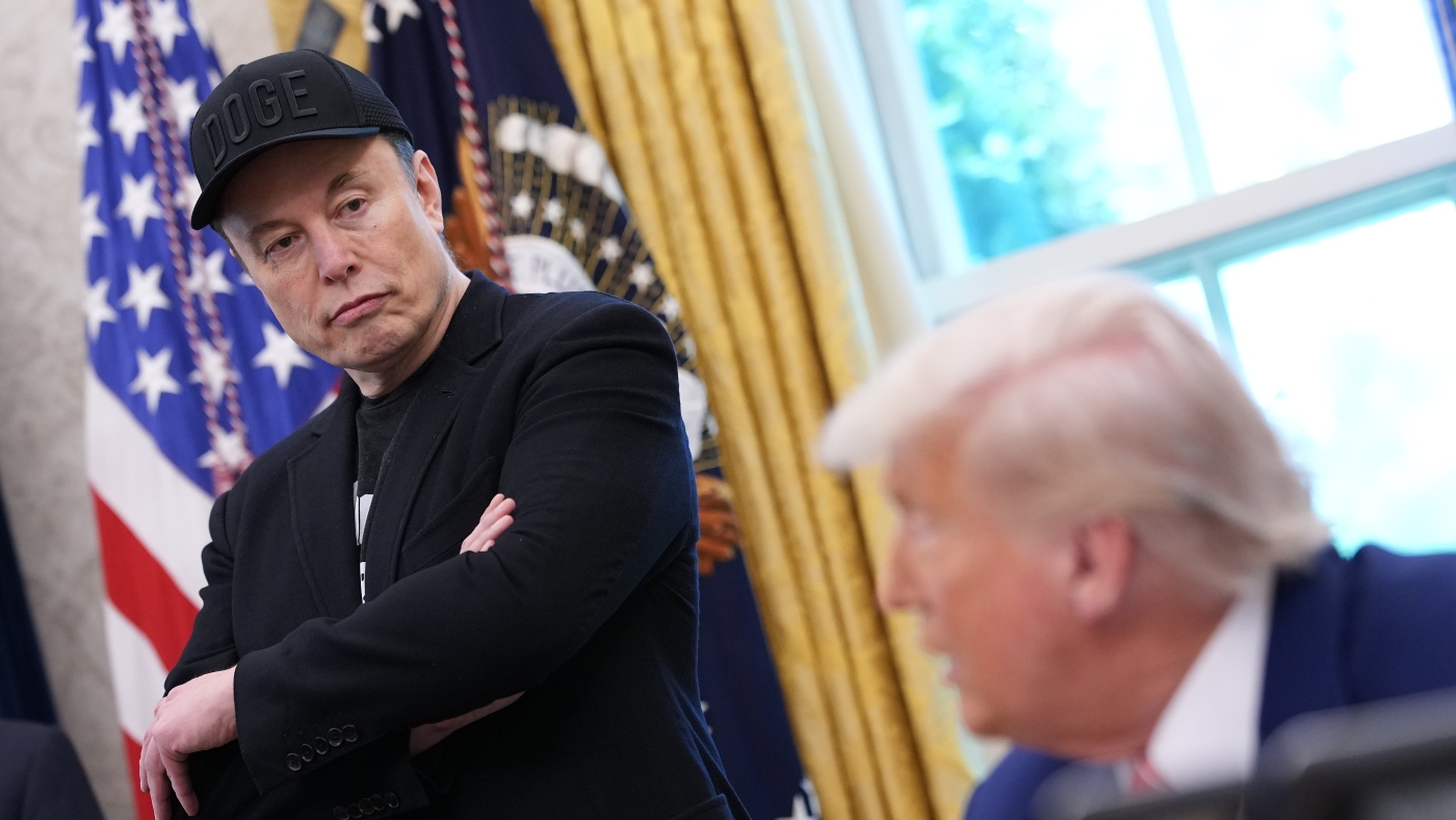 Elon Musk says some of his social media posts about Trump 'went too far'