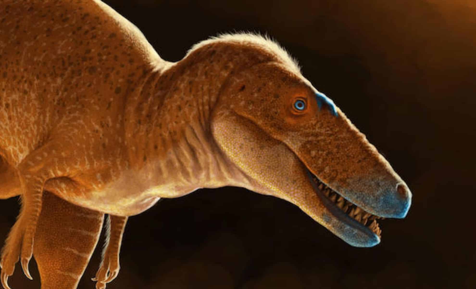 A Newly Found Tyrannosaur May Be the Missing Piece to the Giant Puzzle
