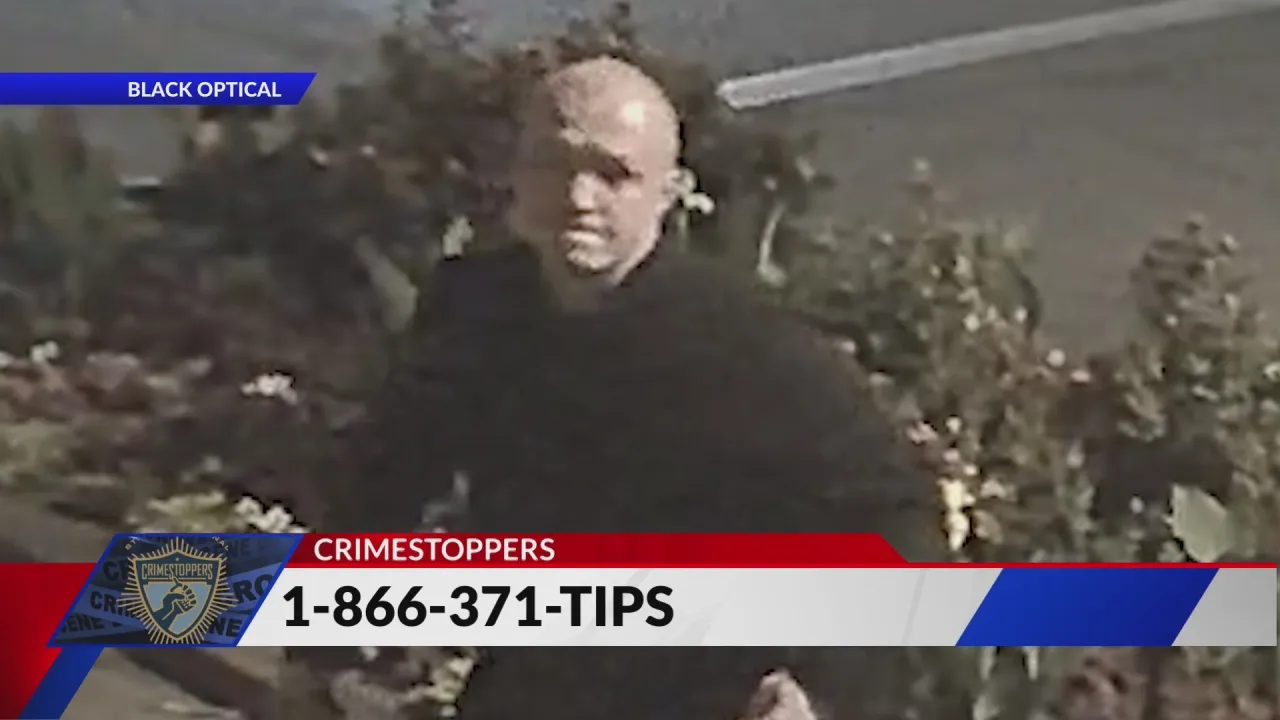 Man seen throwing rocks into CWE business