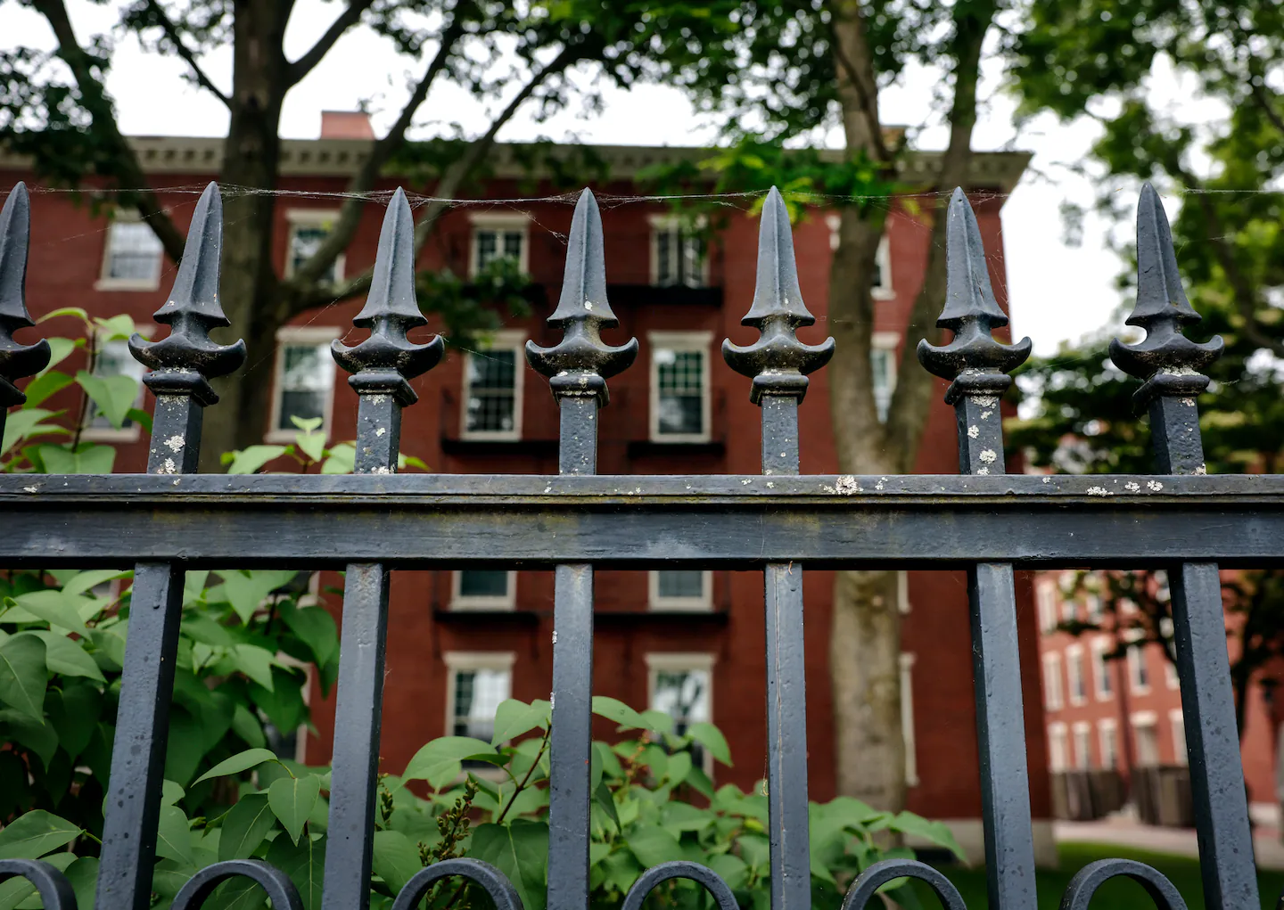 US consulates to resume processing visas for Harvard students, report says