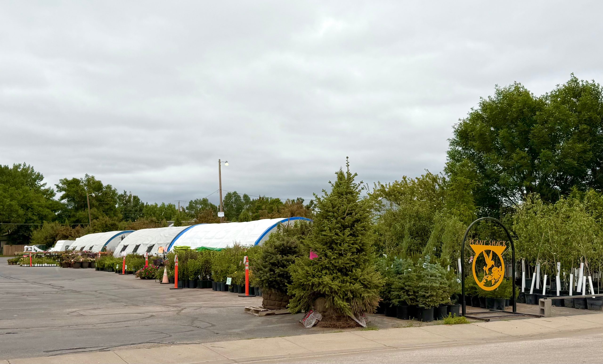 The Root of Success: Gillette's Plant Shack celebrating 30 years of business