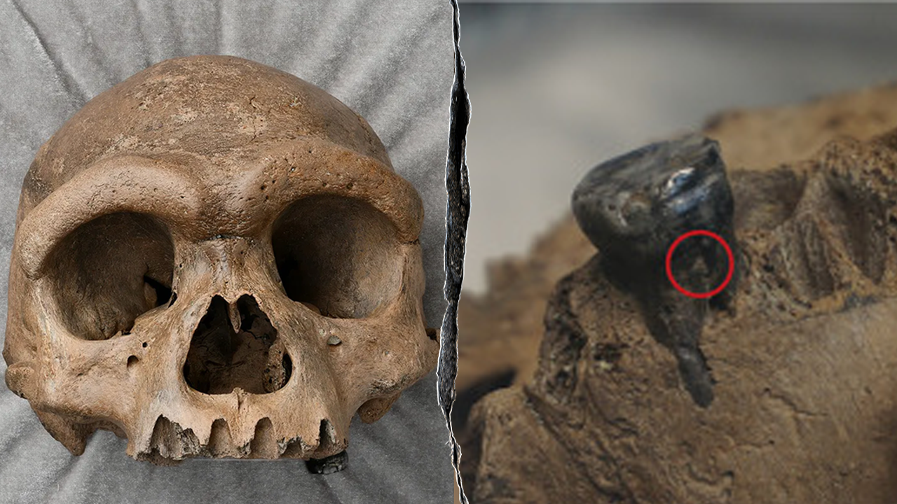 Mysterious 'dragon man' skull found in the 1930s finally identified
