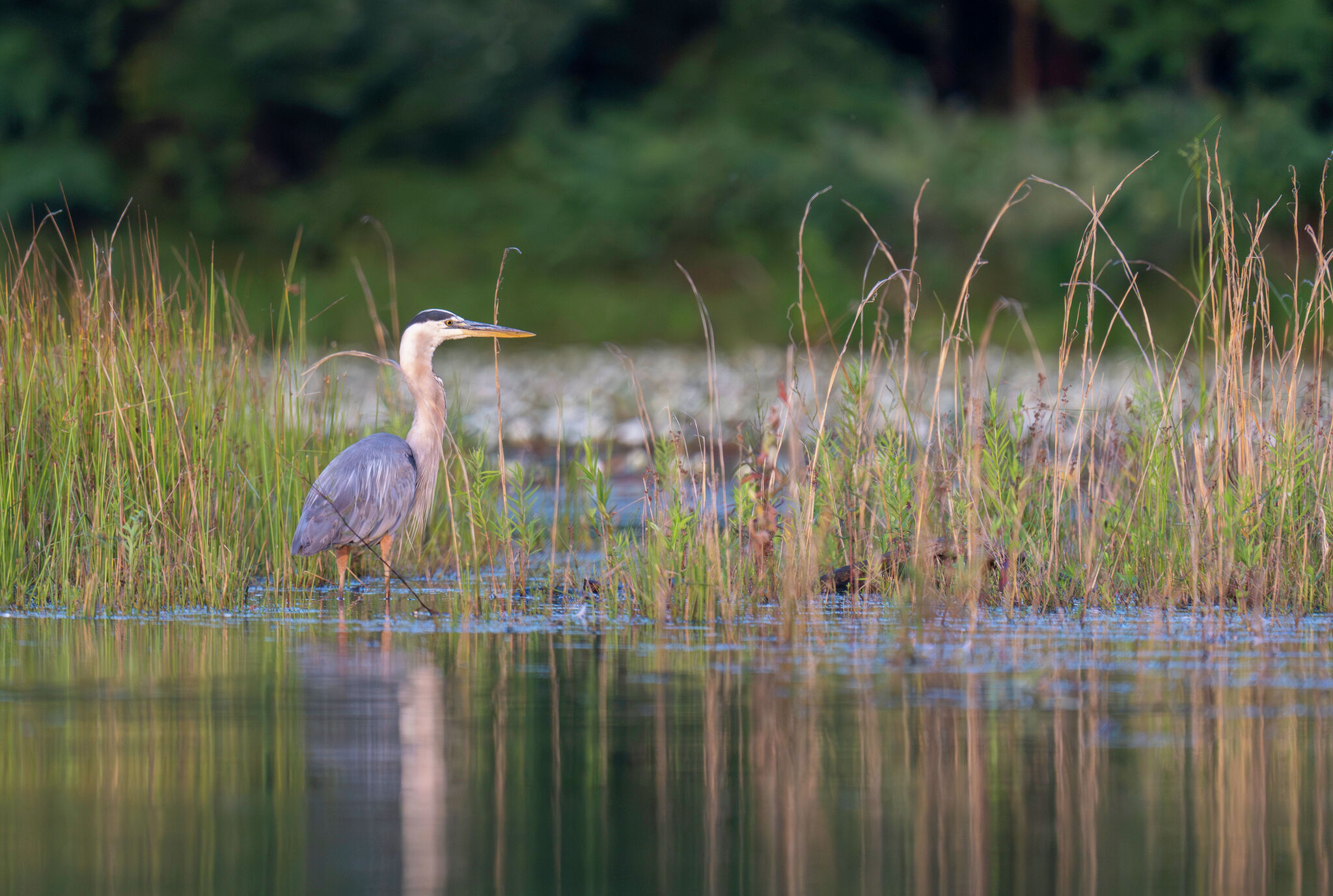 Wetlands don't just protect the natural environment. They're part of the business ecosystem, too.