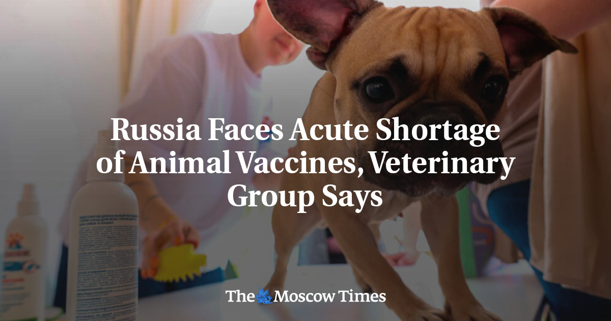 Russia Faces Acute Shortage of Animal Vaccines, Veterinary Group Says