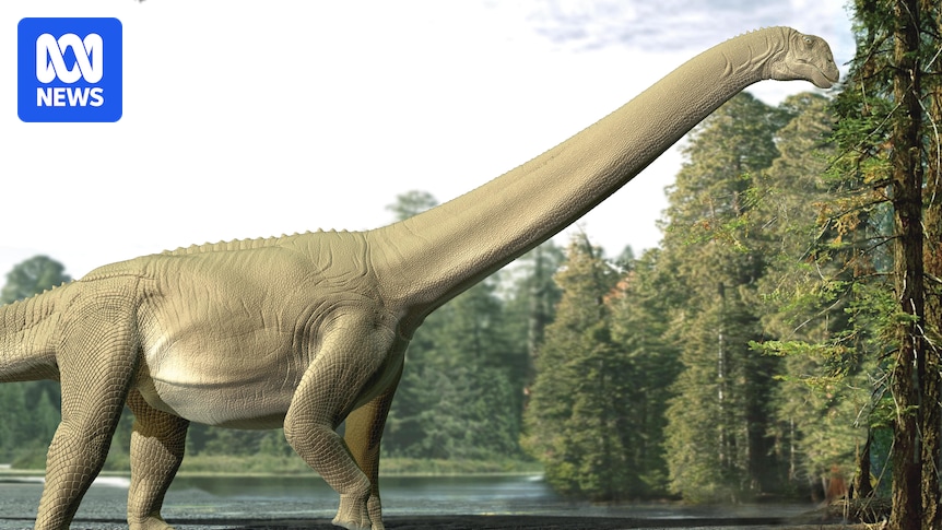 Gut fossil from Aussie dinosaur 'Judy' first to show what sauropods ate