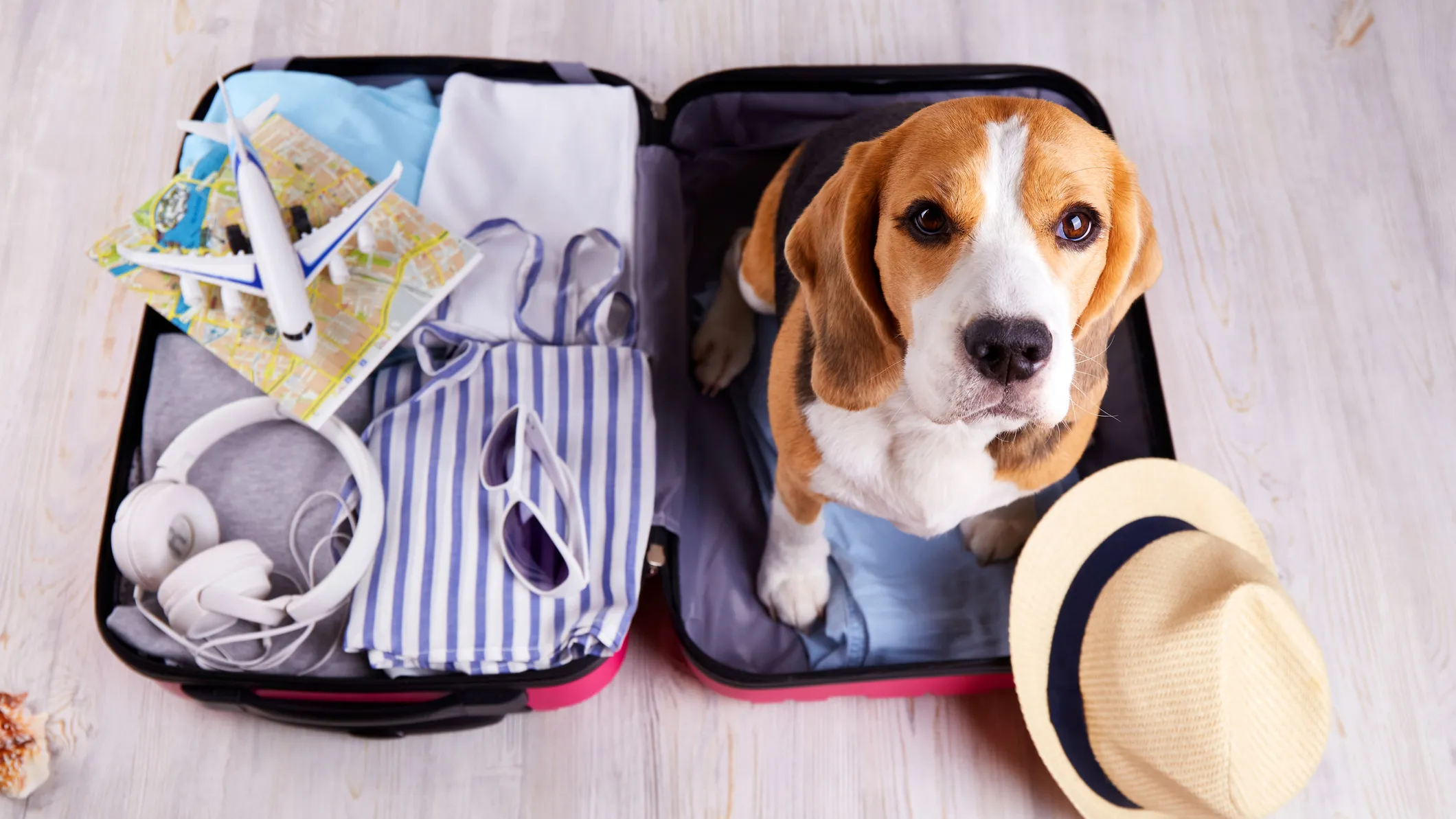 Summer travel health care: 3 essential steps to avoid surprise medical bills