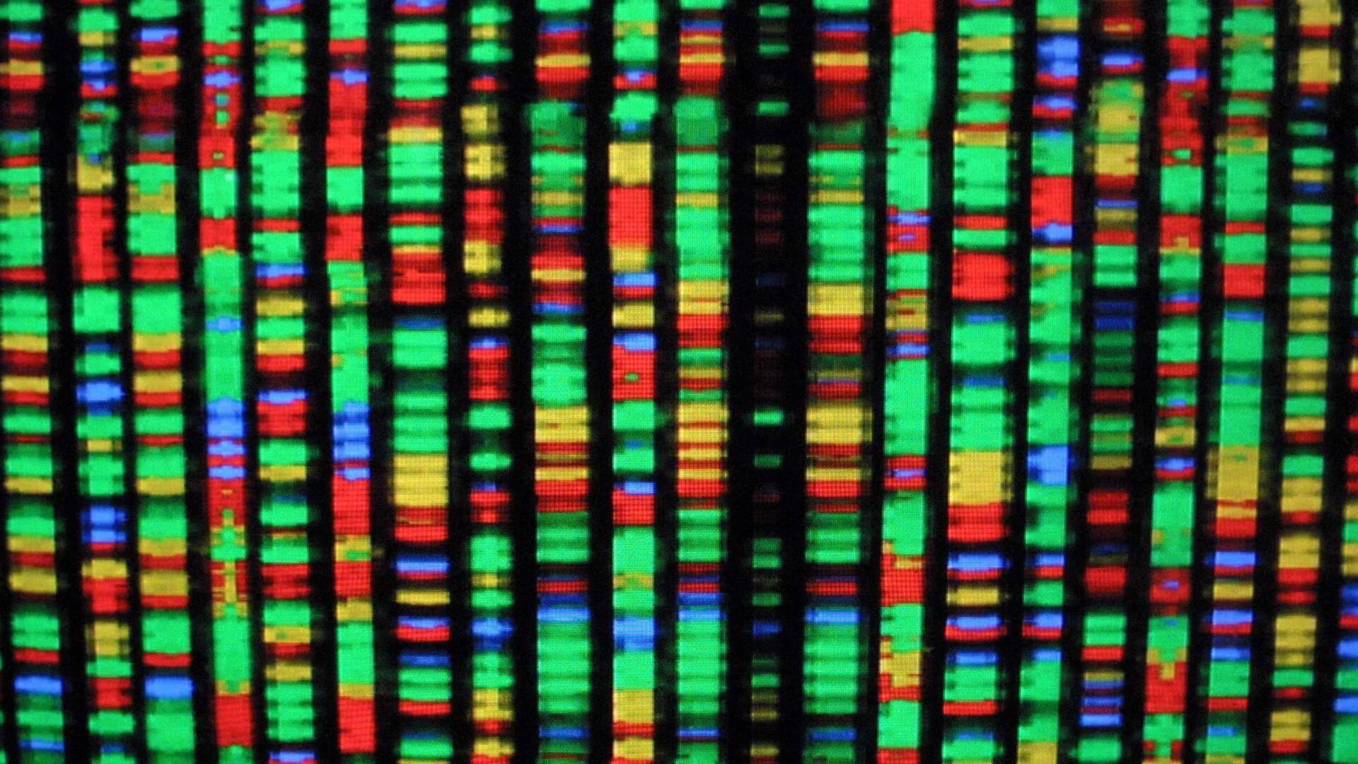 Scientists Launch Wild New Project to Build a Human Genome From Scratch