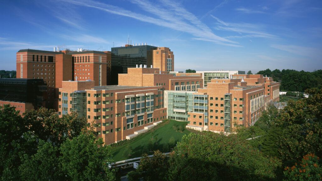 A tumultuous month for autism researchers