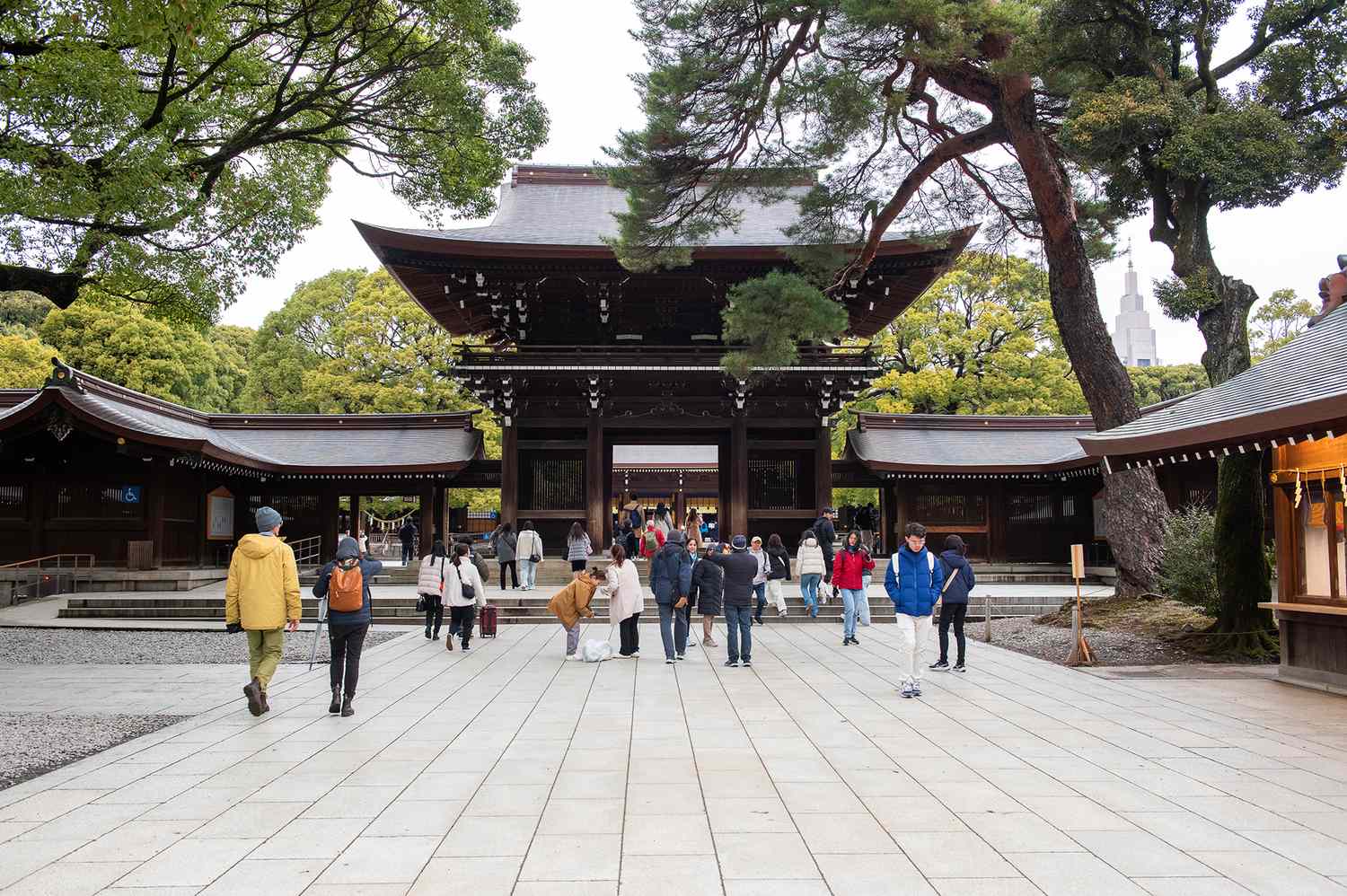 I've Lived in Tokyo for 20 Years and This Is My No. 1 Travel Tip for Anyone Visiting Japan