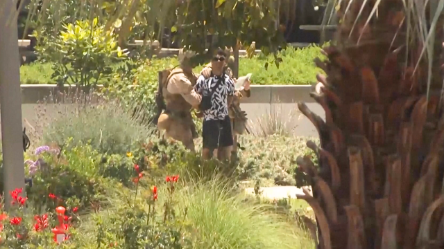 U.S. Marines arrive in Los Angeles, temporarily detain Army veteran
