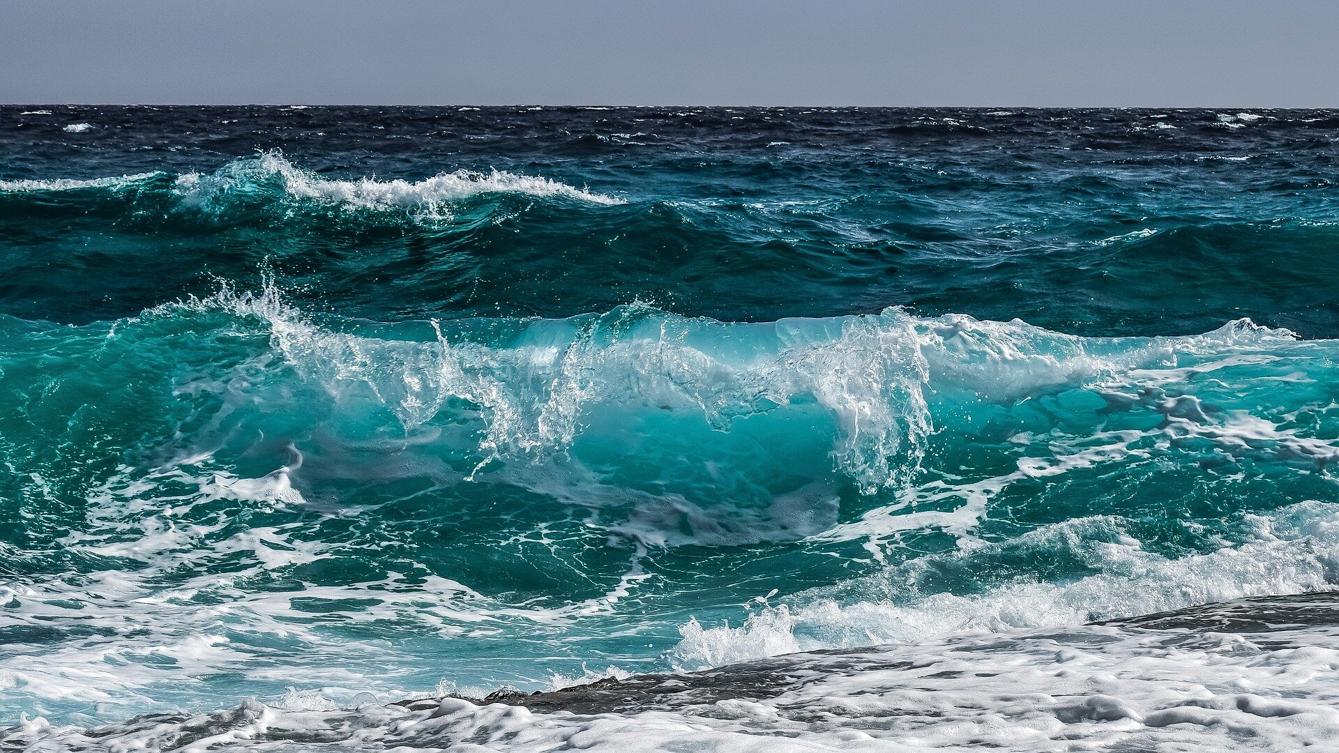 Ocean 'greening' at poles could spell changes for fisheries