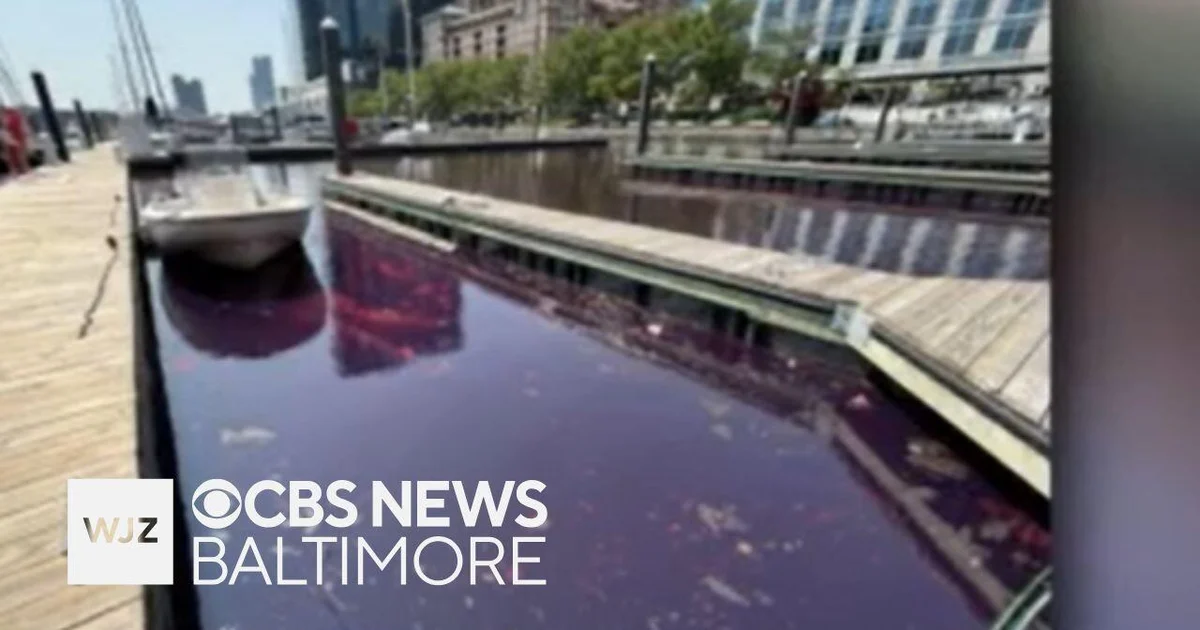 Maryland Dept. of Environment says oil spill leaked about 100 gallons of diesel into Harbor