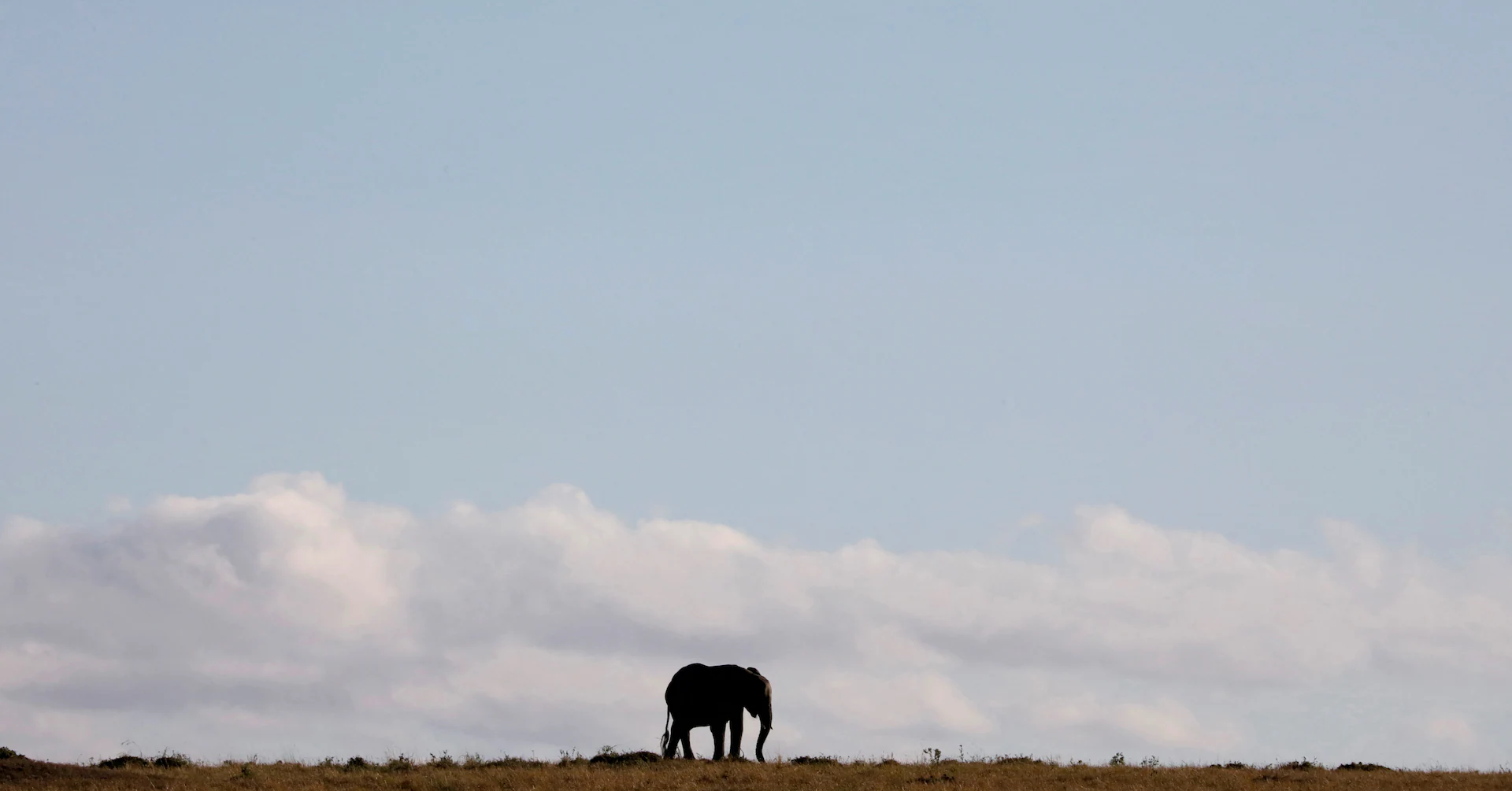 Humans adapted to diverse habitats before trekking out of Africa