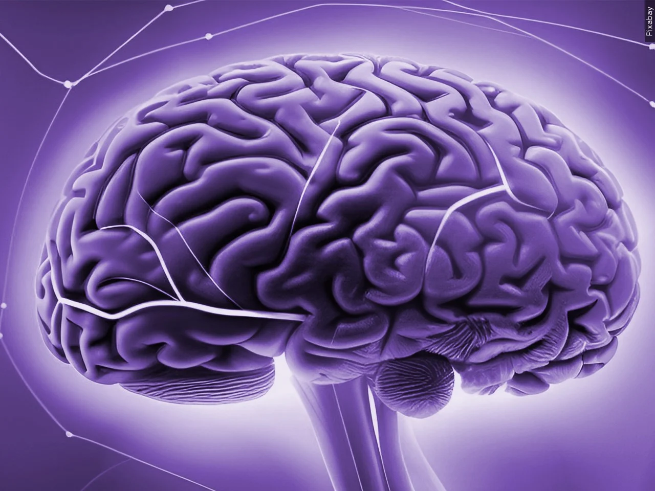 How to support brain health for improved focus