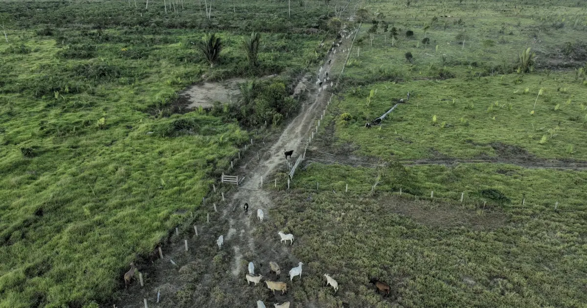 Brazil Should Reject Bill Gutting Environmental Licensing